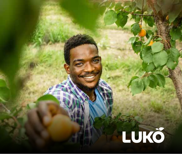 Luko Brand Identity Design